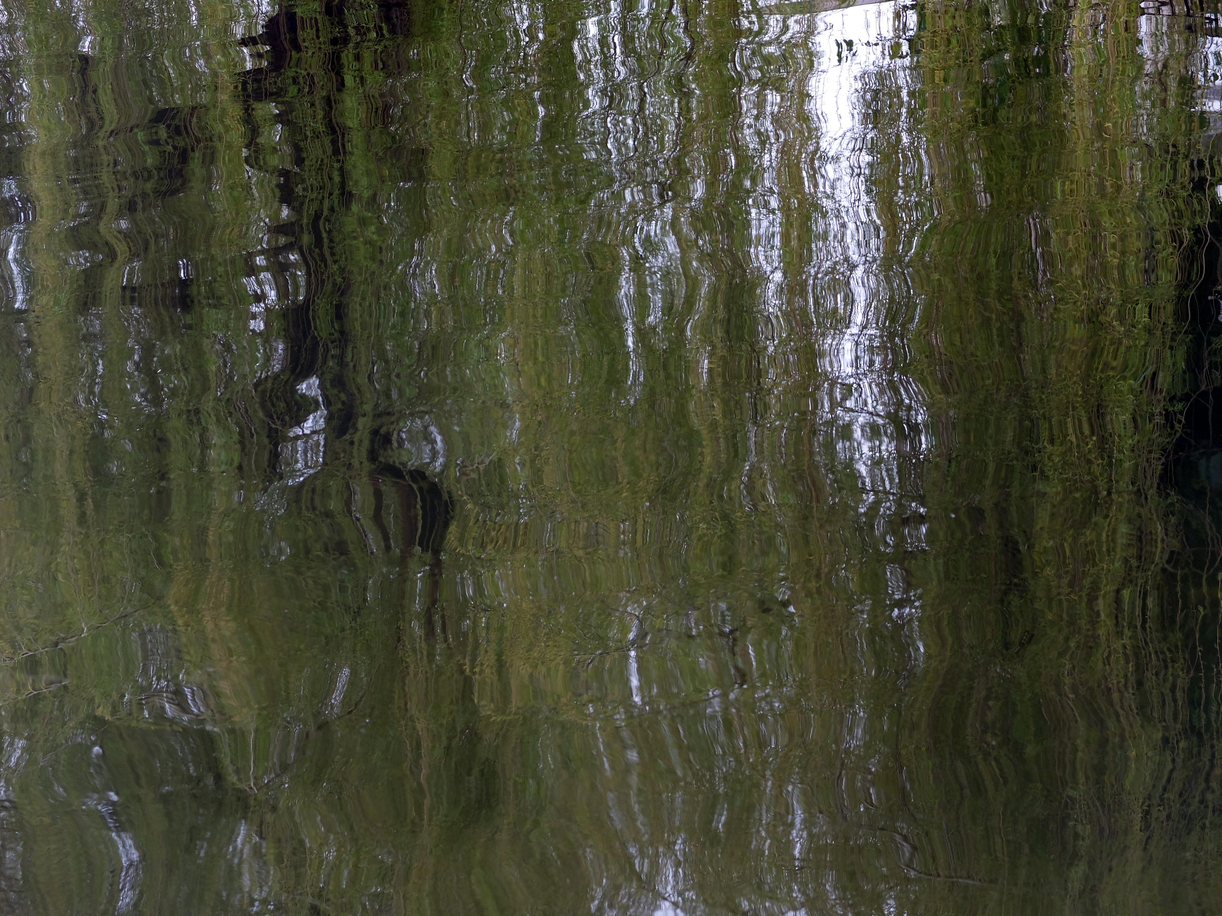 Website of Mathias Hartmann