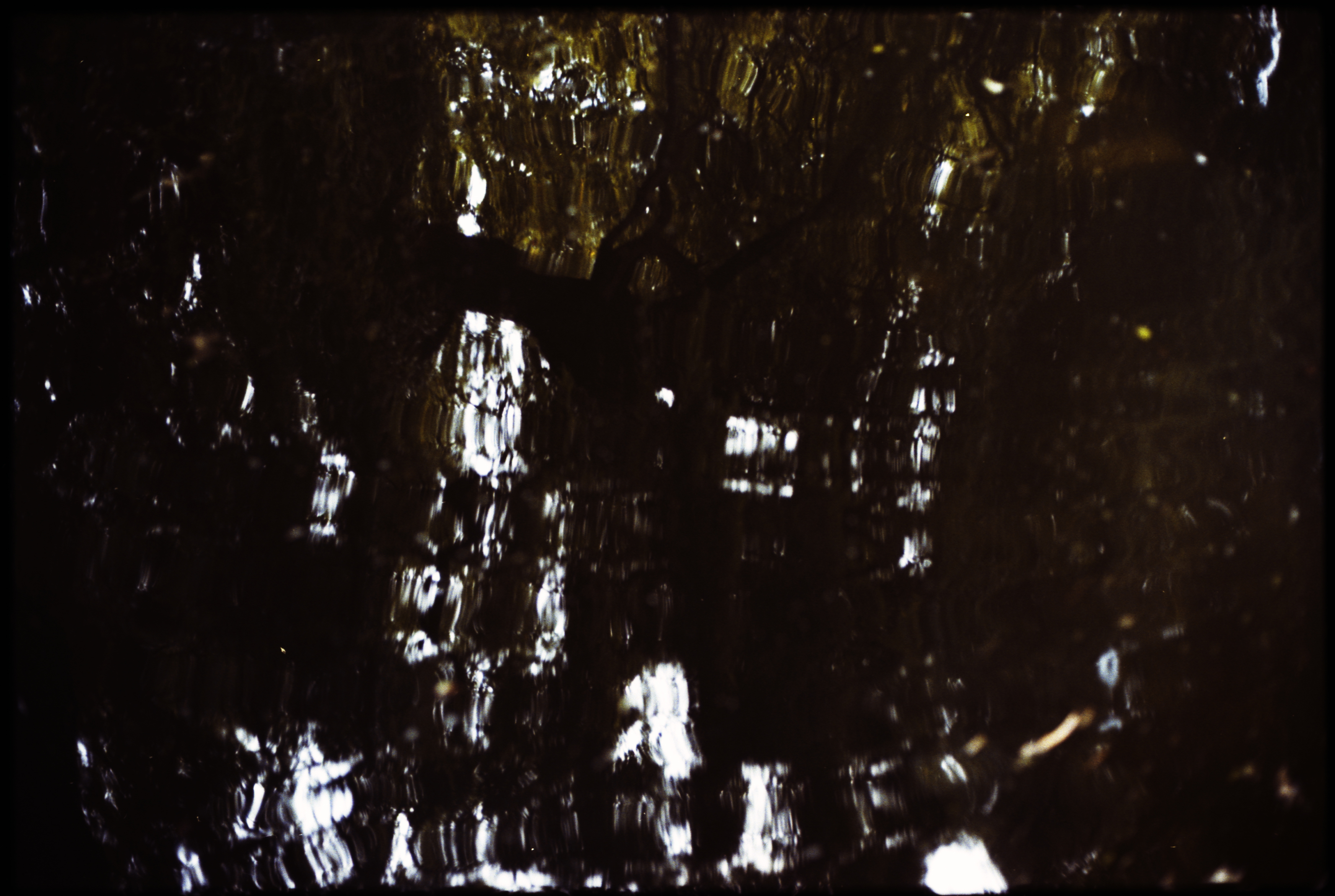 Website of Mathias Hartmann