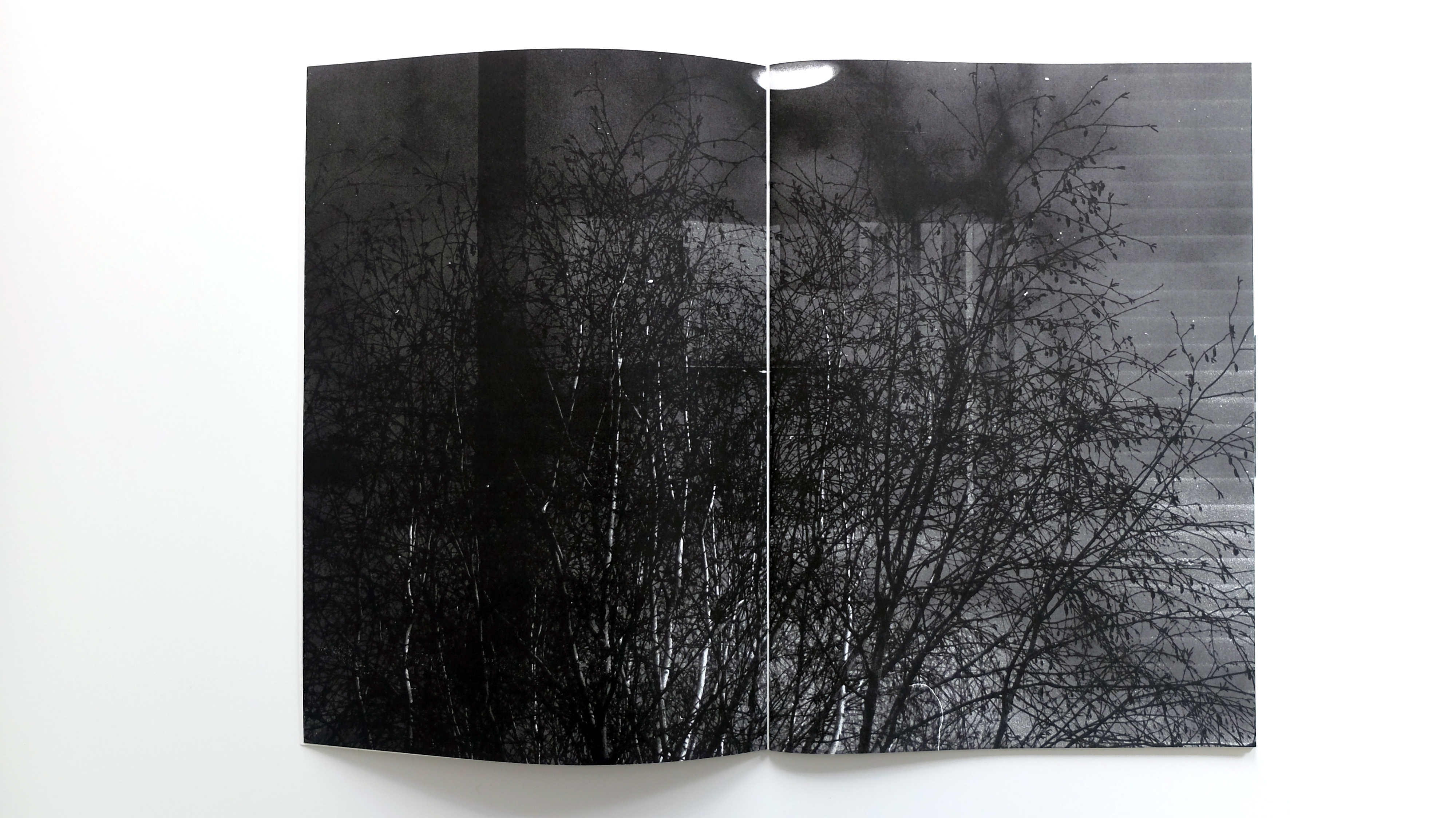 Website of Mathias Hartmann