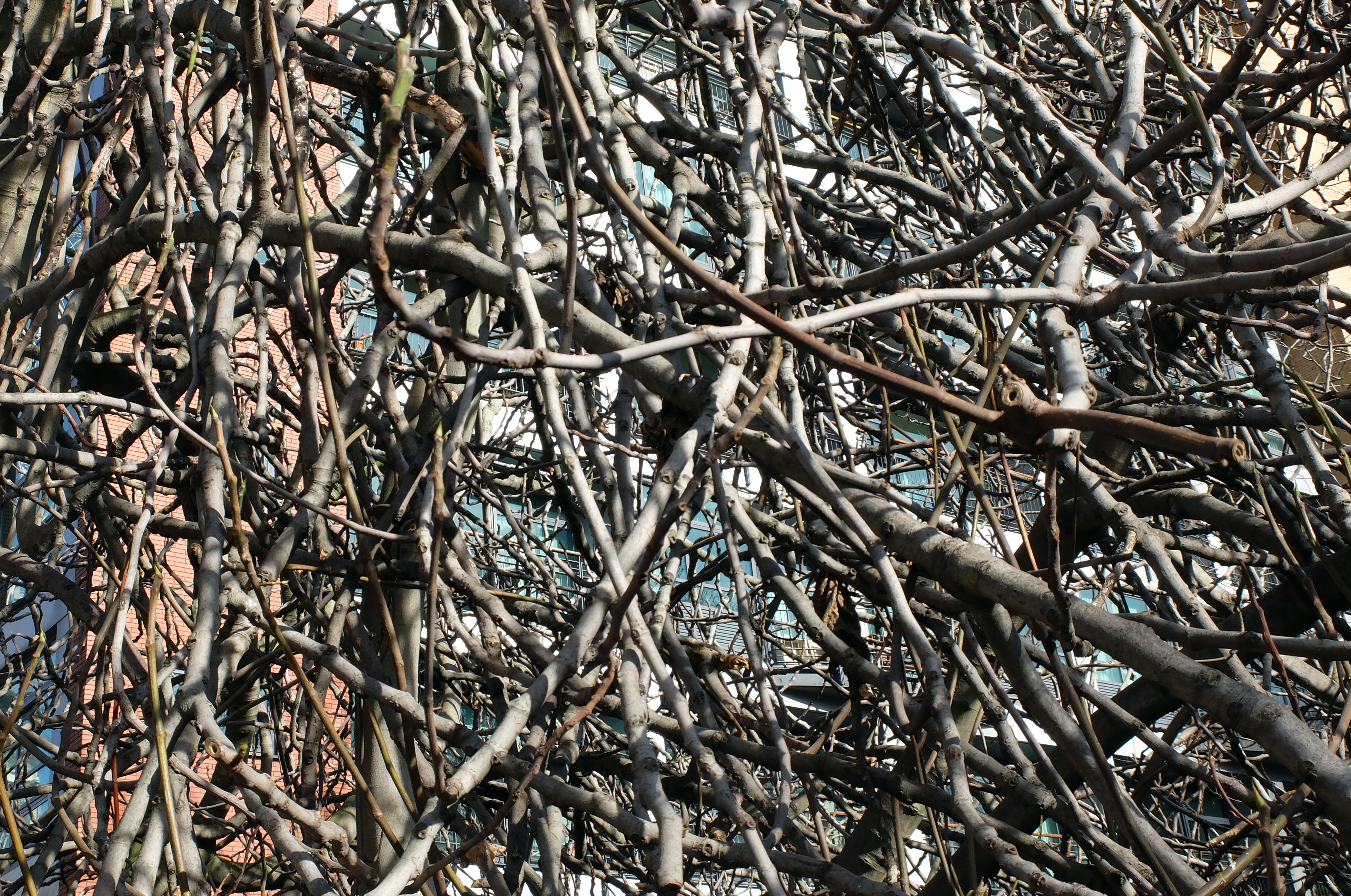 Website of Mathias Hartmann