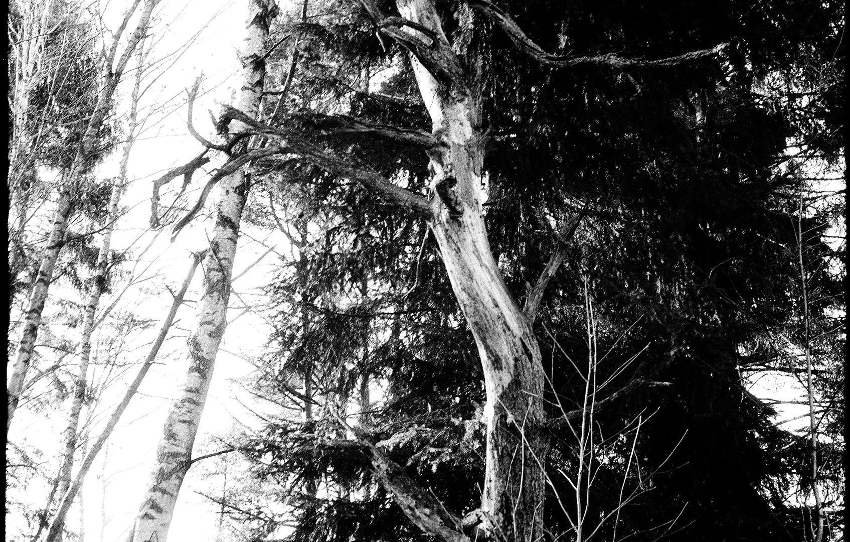 Website of Mathias Hartmann