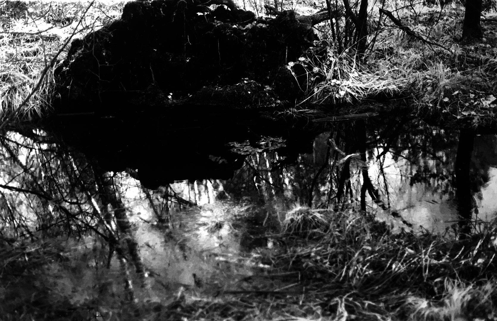 Website of Mathias Hartmann