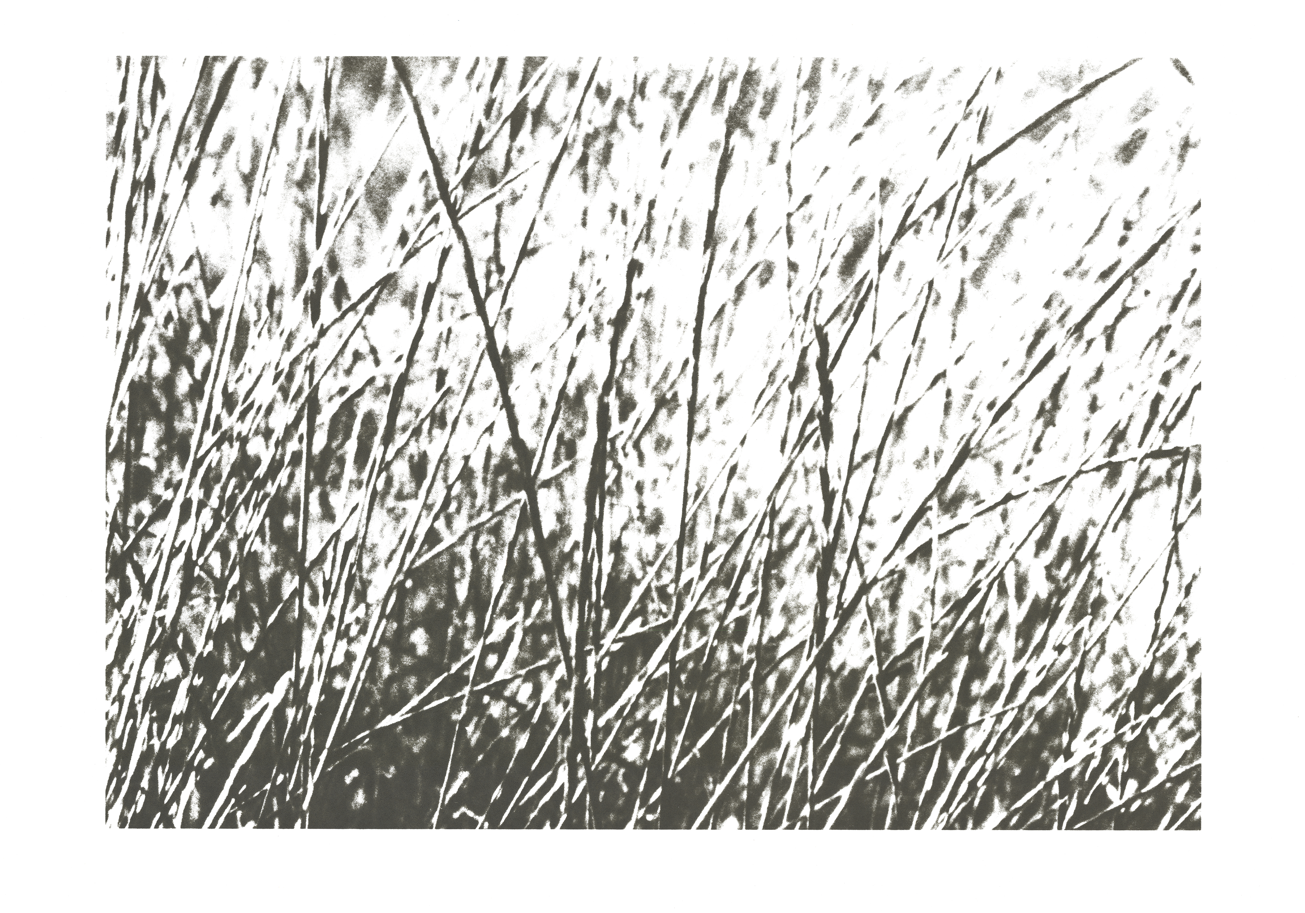 Website of Mathias Hartmann